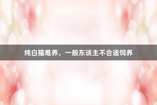 纯白猫难养，一般东谈主不合适饲养